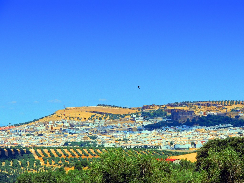 Foto de Osuna (Sevilla), España