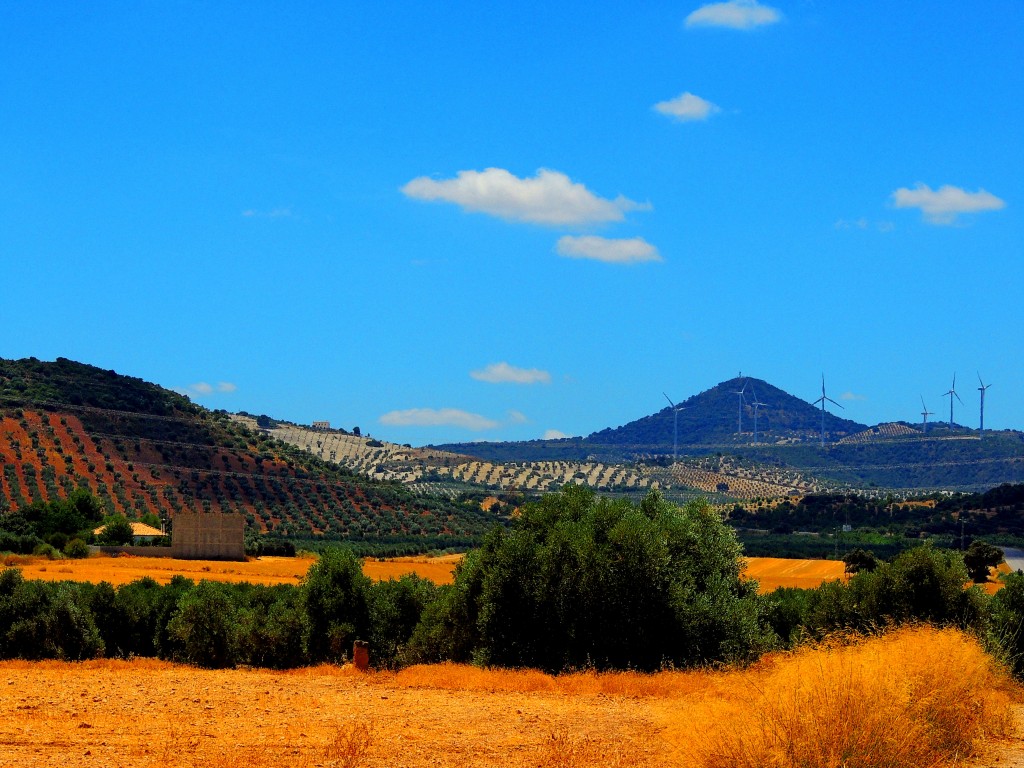 Foto de Osuna (Sevilla), España