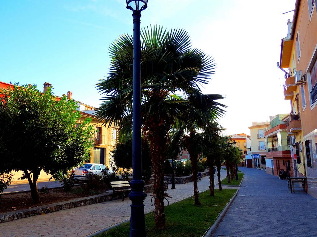 Foto de Villanueva del Trabuo (Málaga), España