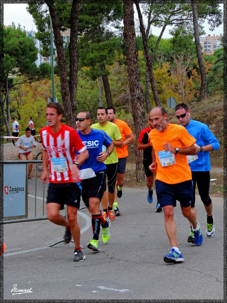 Foto: 141123-28 CANAL IMPERIAL - Zaragoza (Aragón), España