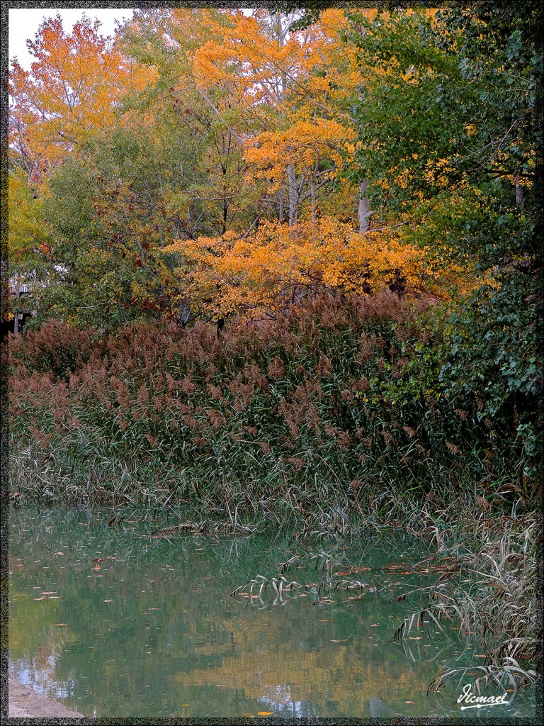 Foto: 141123-56 CANAL IMPERIAL - Zaragoza (Aragón), España