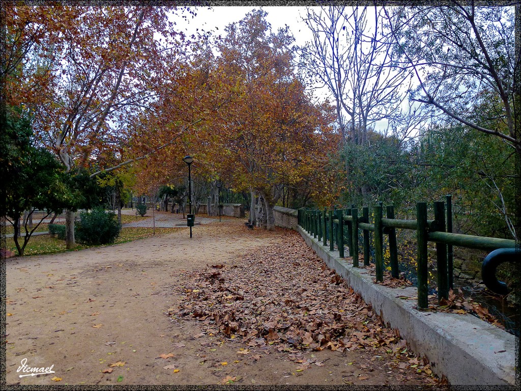 Foto: 141127-02 ZARAGOZA - Zaragoza (Aragón), España