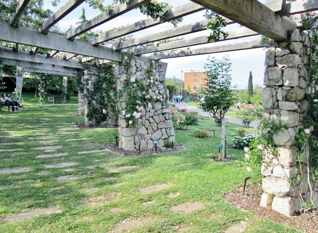 Foto: Parque Cervantes - Barcelona (Cataluña), España