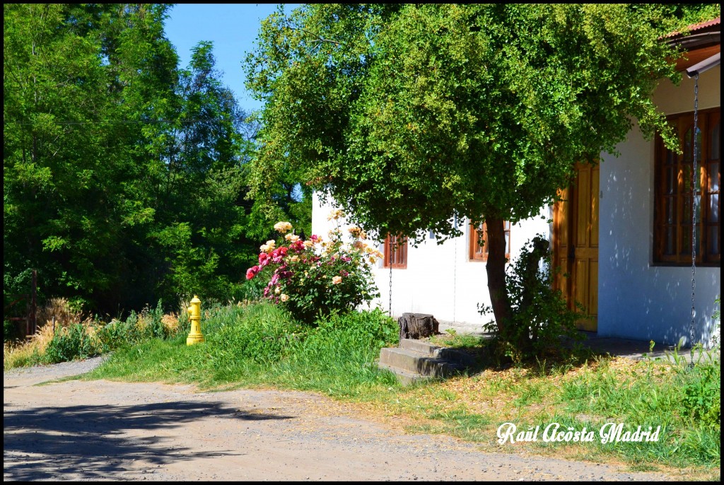 Foto de Doñihue (Libertador General Bernardo OʼHiggins), Chile