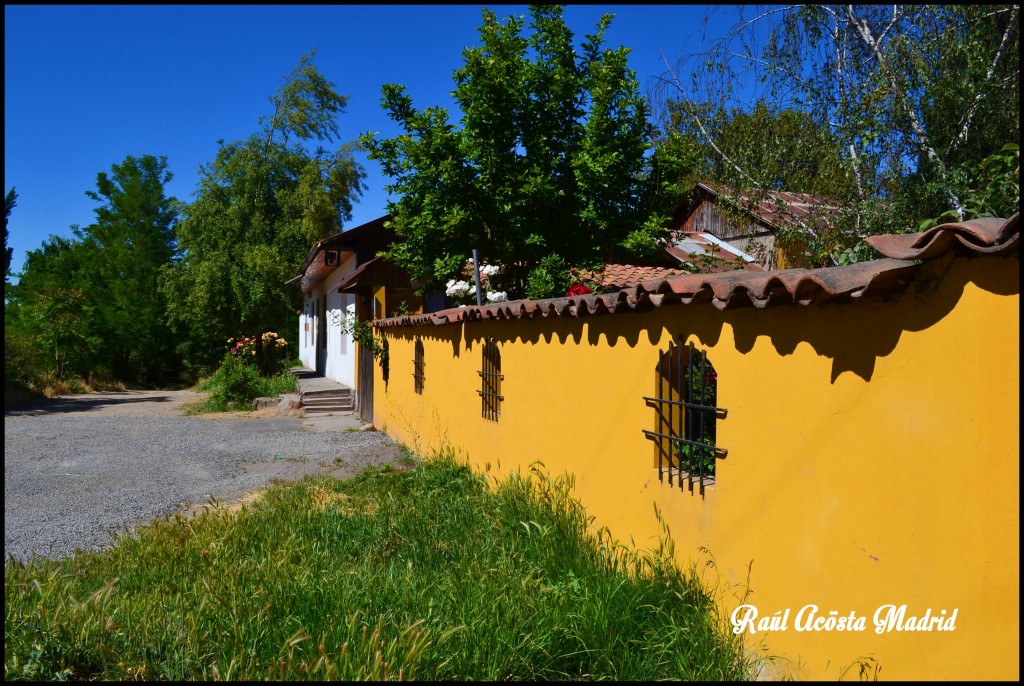 Foto de Doñihue (Libertador General Bernardo OʼHiggins), Chile