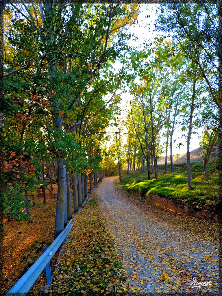 Foto: 141101-02 ARCOS DE JALON - Arcos De Jalon (Soria), España