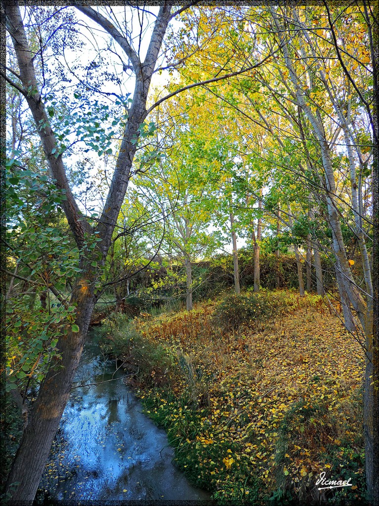 Foto: 141101-04 ARCOS DE JALON - Arcos De Jalon (Soria), España