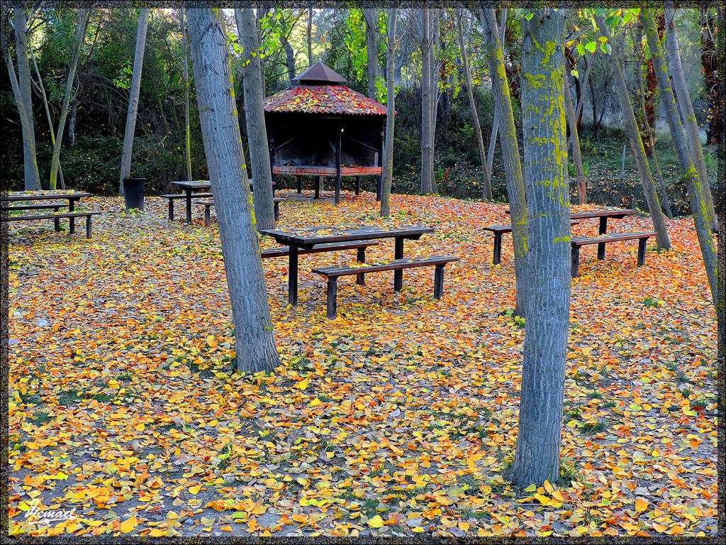 Foto: 141101-07 ARCOS DE JALON - Arcos De Jalon (Soria), España