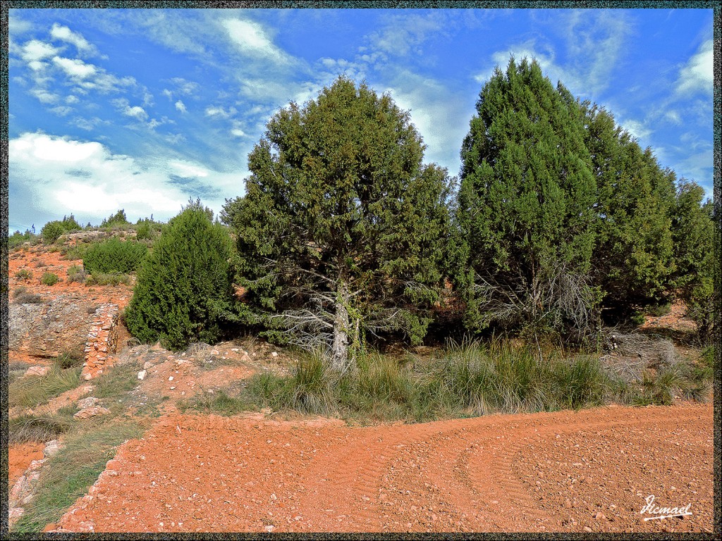 Foto: 141102-07 ALCONCHEL DE ARIZA - Alconchel De Ariza (Zaragoza), España