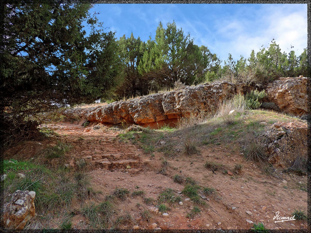 Foto: 141102-11 ALCONCHEL DE ARIZA - Alconchel De Ariza (Zaragoza), España