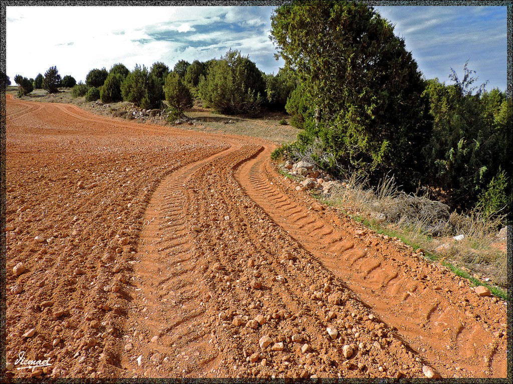 Foto: 141102-13 ALCONCHEL DE ARIZA - Alconchel De Ariza (Zaragoza), España