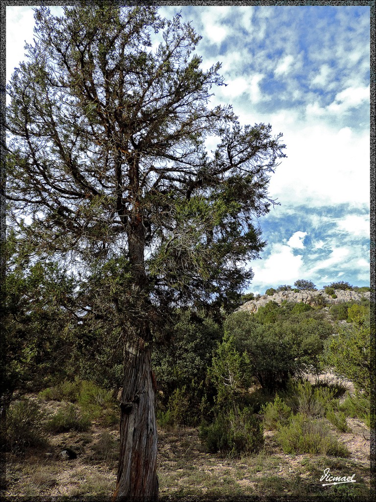 Foto: 141102-24 ALCONCHEL DE ARIZA - Alconchel De Ariza (Zaragoza), España