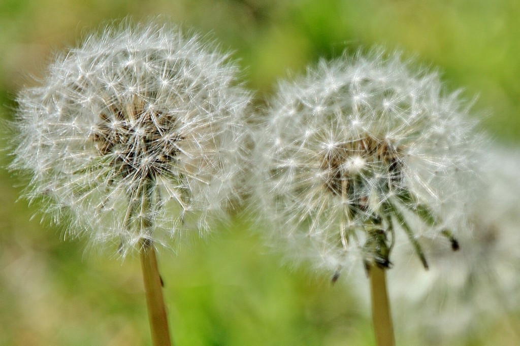 Foto: Un poco de color - Ceuta, España
