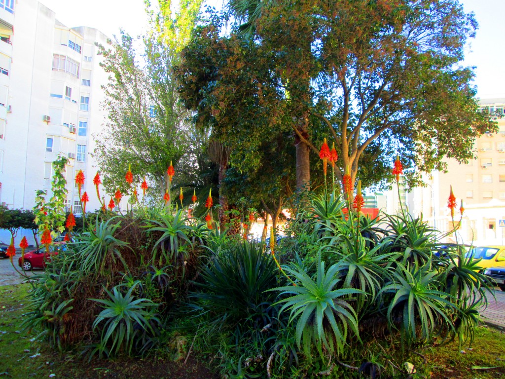 Foto de San Fernando (Cádiz), España