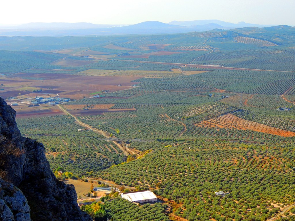 Foto de Archidona (Málaga), España