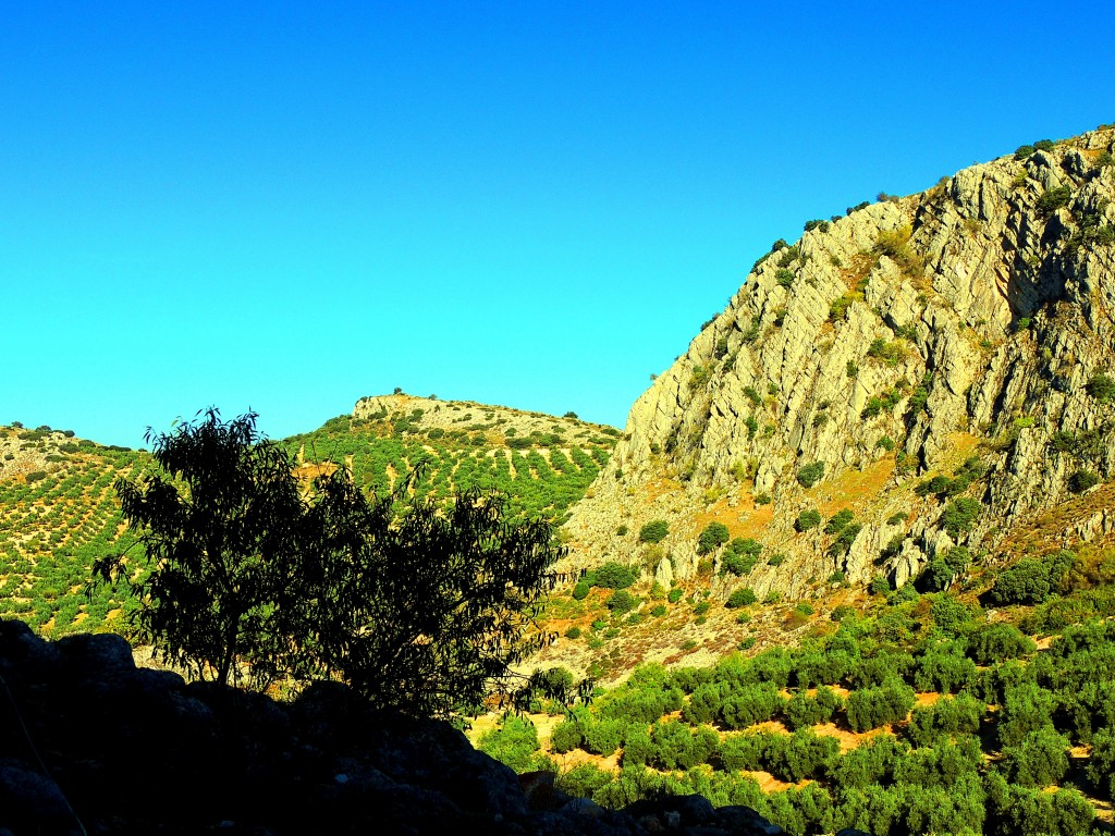 Foto de Archidona (Málaga), España