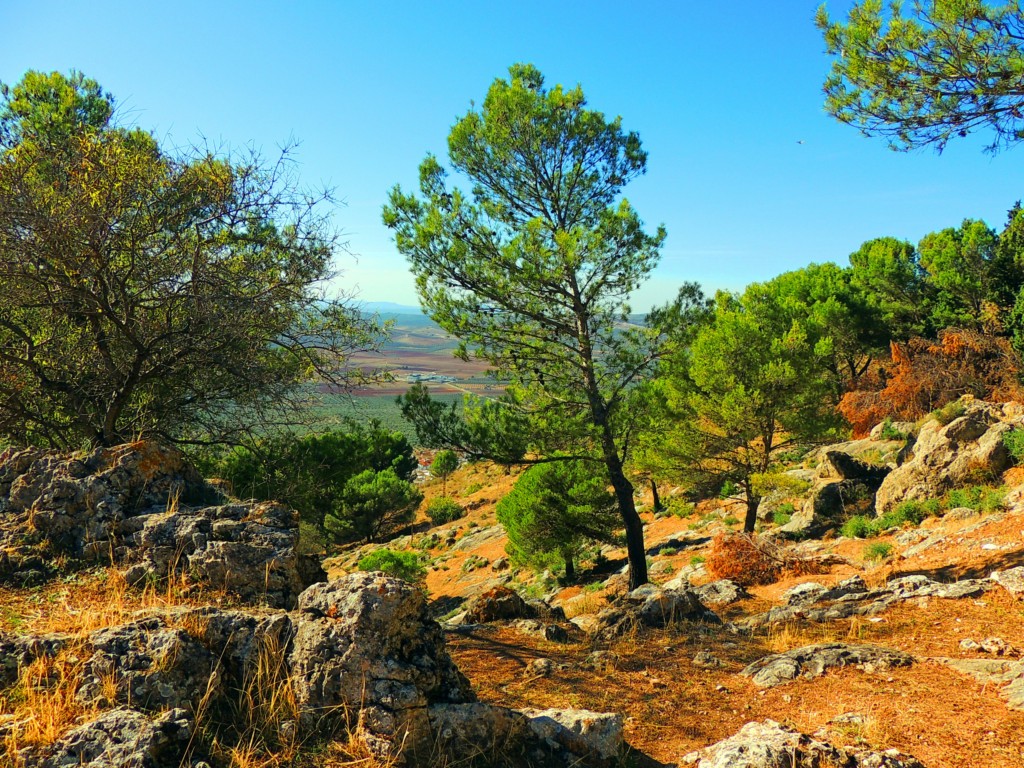Foto de Archidona (Málaga), España