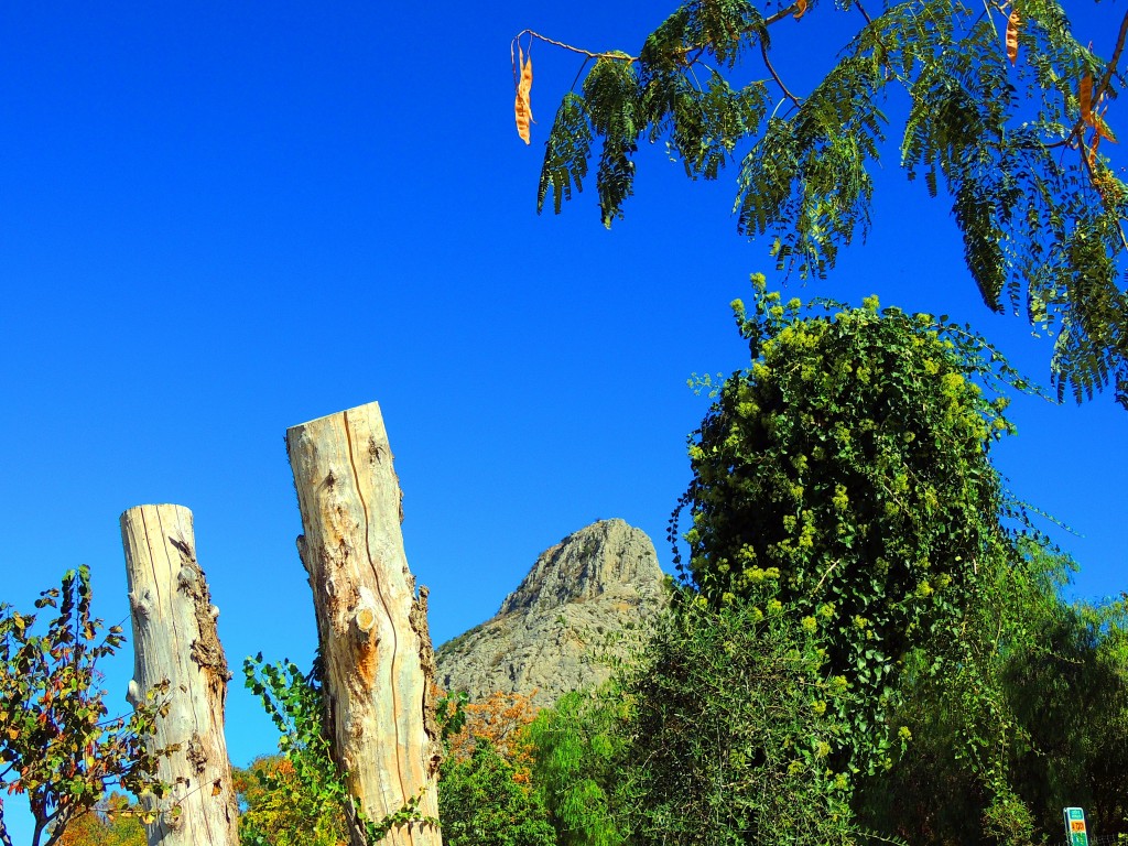 Foto de Archidona (Málaga), España
