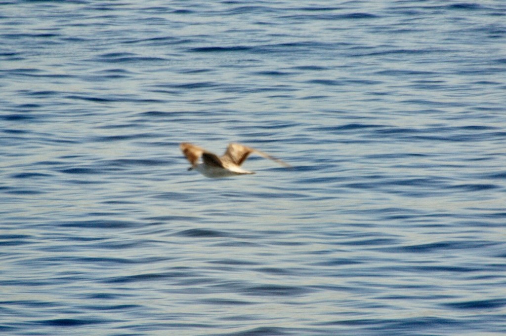 Foto: Navegando - Ceuta, España