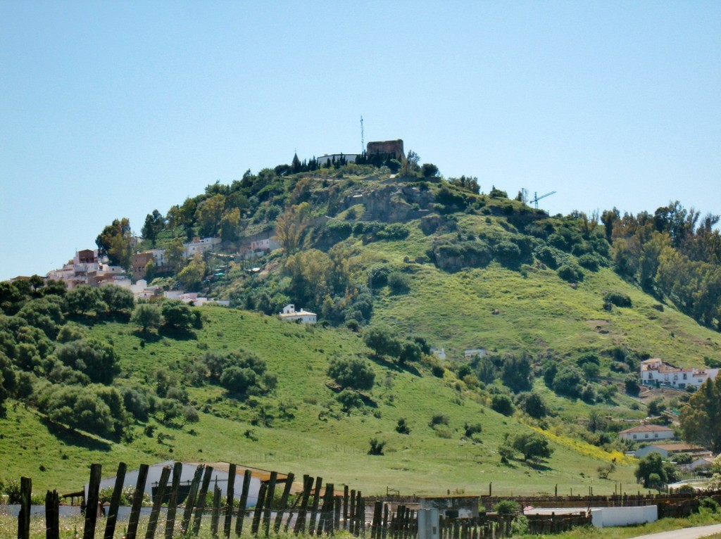 Foto: Paisaje - Alcalá de los Gazules (Cádiz), España