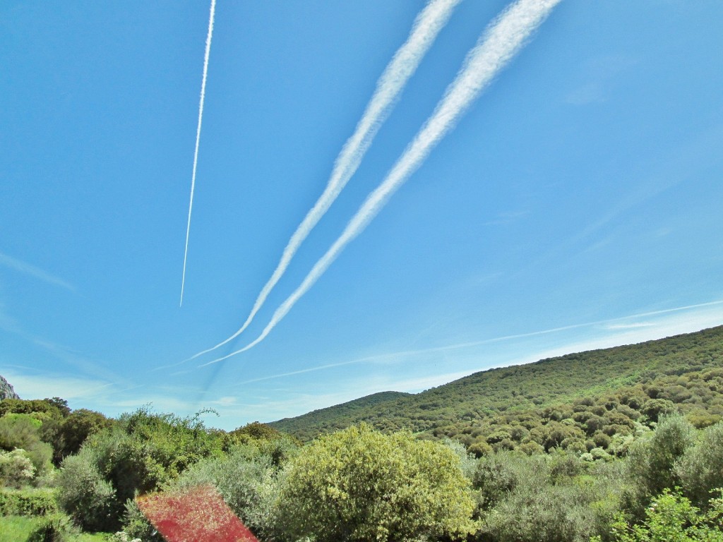 Foto: Paisaje - Grazalema (Cádiz), España