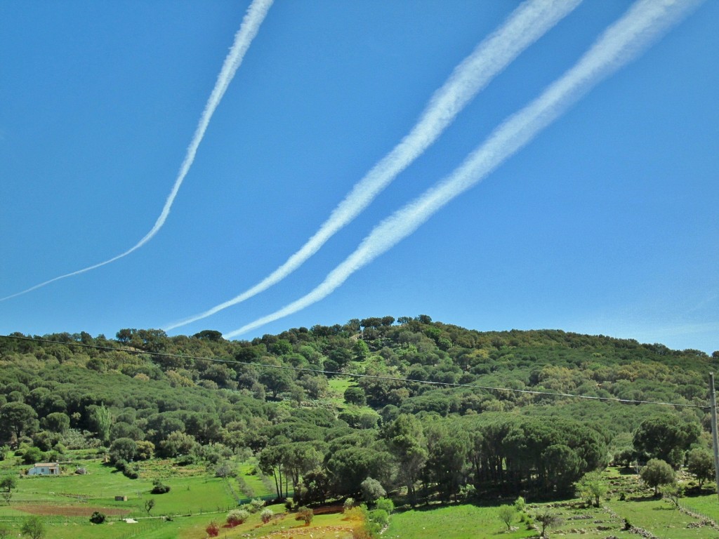 Foto: Paisaje - Grazalema (Cádiz), España