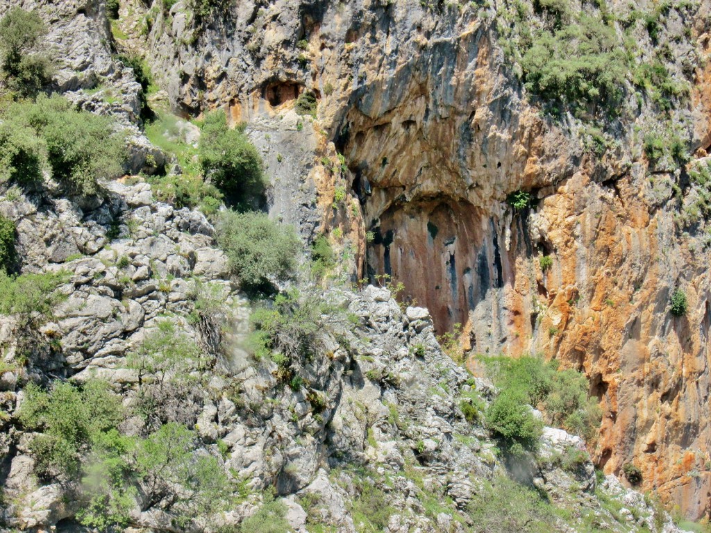 Foto: Paisaje - Grazalema (Cádiz), España