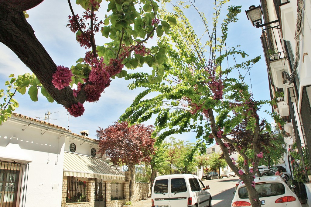Foto: Centro histórico - Grazalema (Cádiz), España