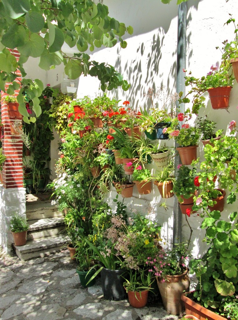 Foto: Centro histórico - Grazalema (Cádiz), España