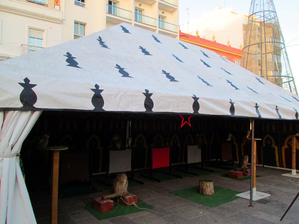 Foto: Aves de cetrería - San Fernando (Cádiz), España