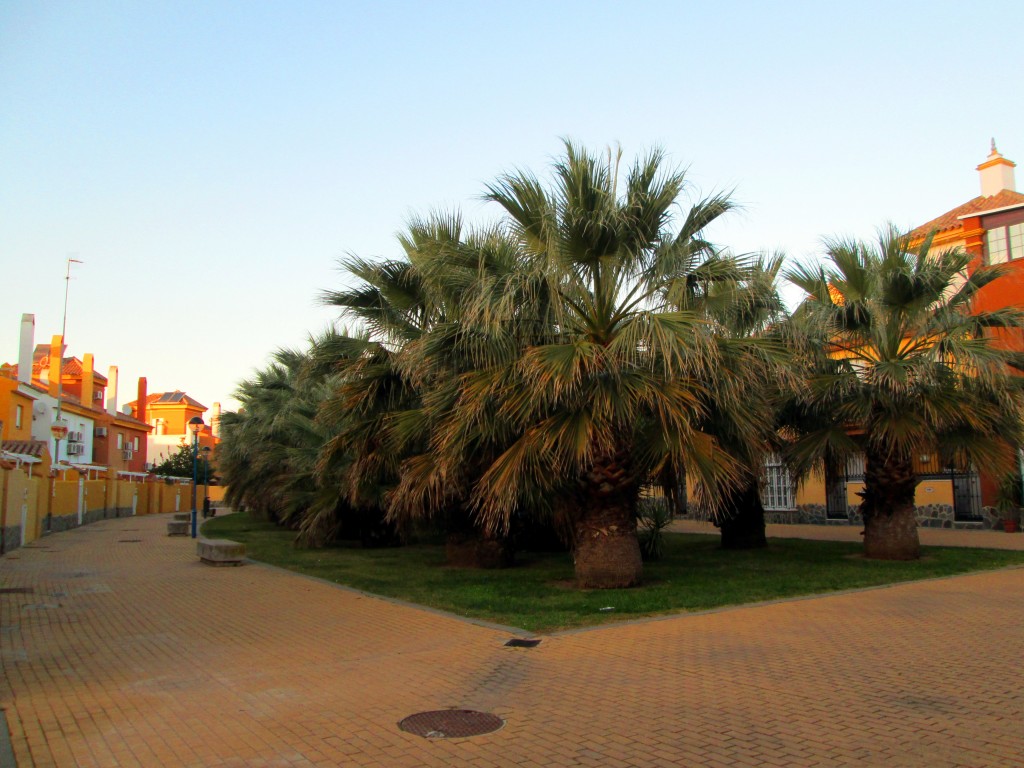 Foto: Plaza de  Galicia - San Fernando (Cádiz), España