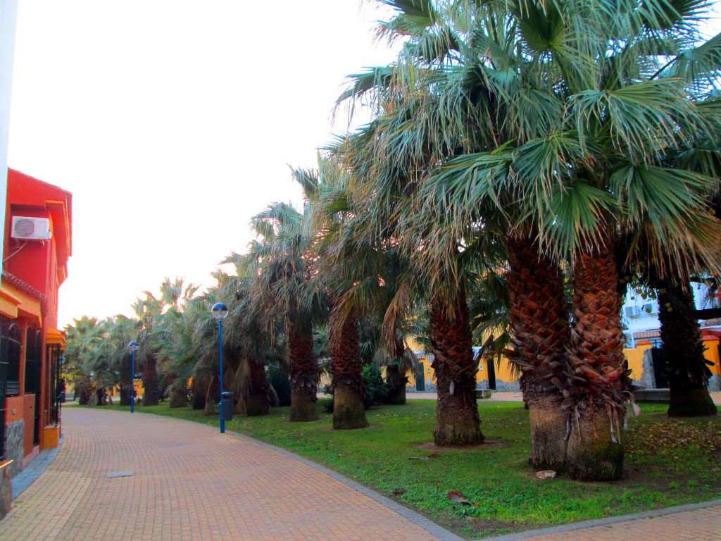 Foto: Plaza Galicia - San Fernando (Cádiz), España