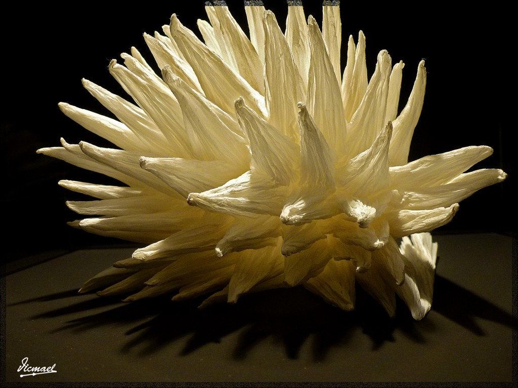 Foto: 141219-06 CENTRO HISTORIA - Zaragoza (Aragón), España