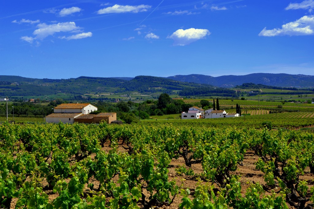 Foto: El Corral del Mestre - El Pla del Penedès (Barcelona), España