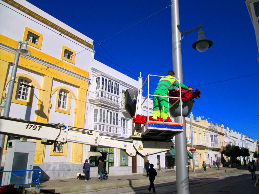Foto: Colocando Flores de Pascua - San Fernando (Cádiz), España