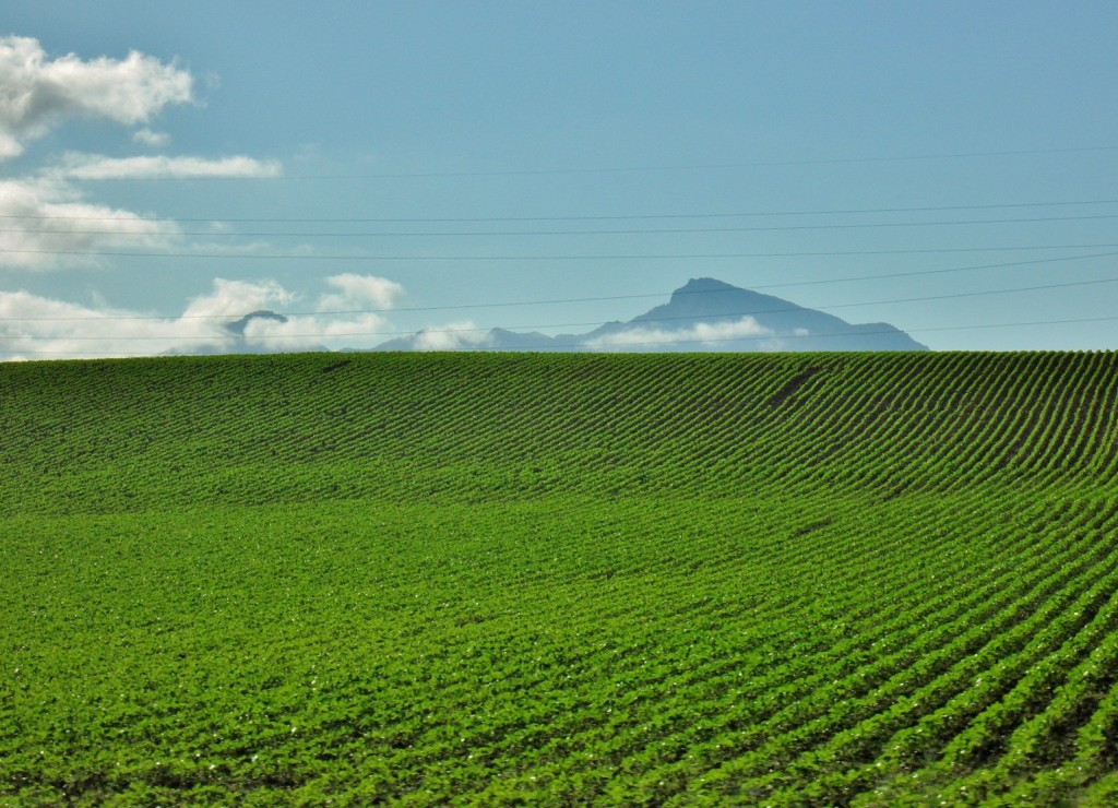 Foto: Vistas - Setenil de las Bodegas (Cádiz), España