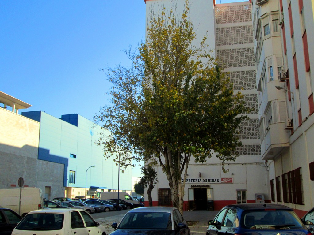 Foto: El Minibar - San Fernando (Cádiz), España