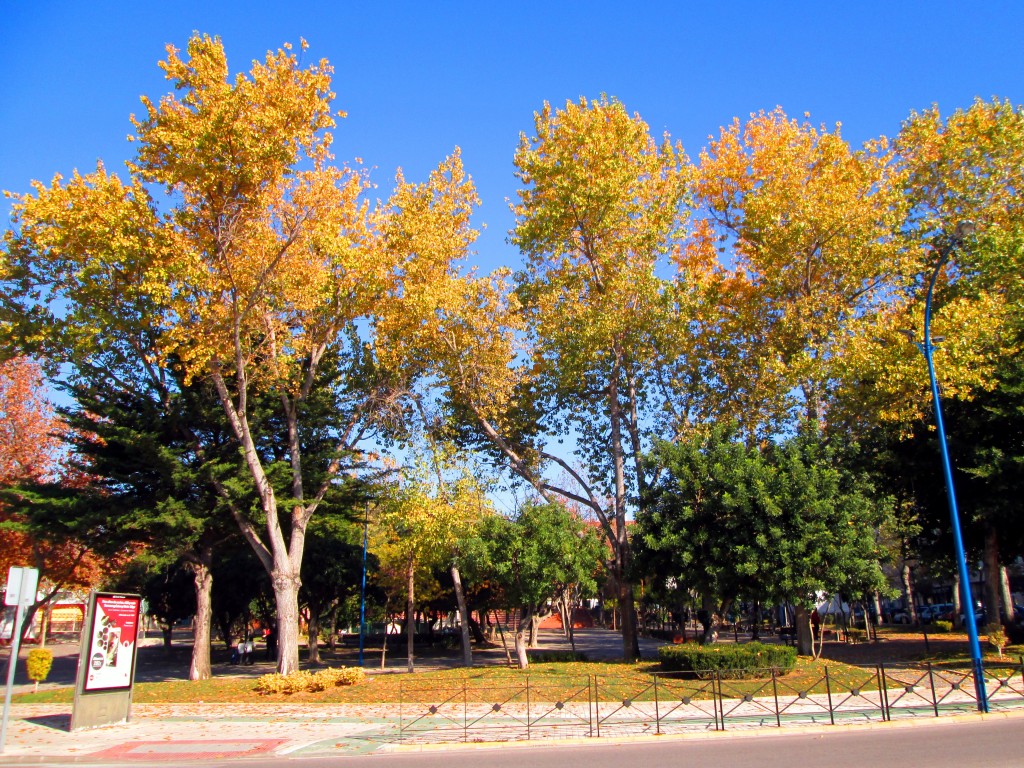 Foto: El Parque - San Fernando (Cádiz), España
