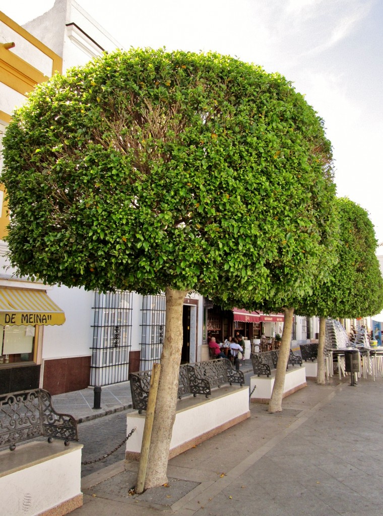 Foto: Centro histórico - Medina Sidonia (Cádiz), España