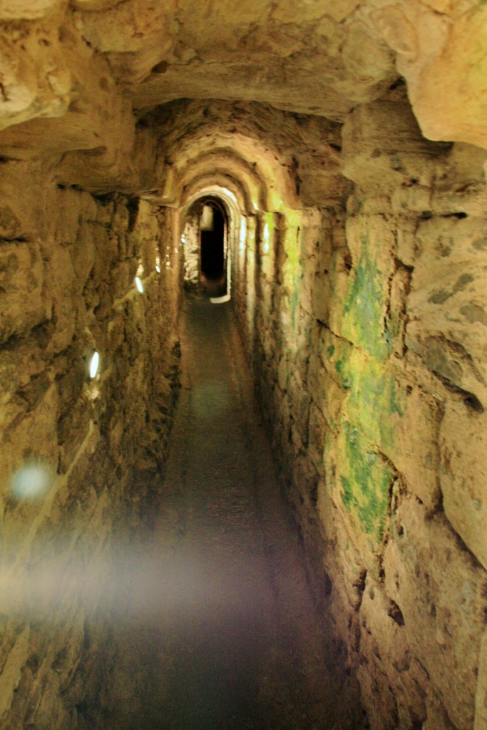 Foto: Restos romanos - Medina Sidonia (Cádiz), España