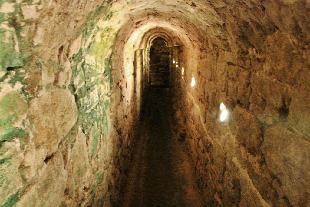 Foto: Restos romanos - Medina Sidonia (Cádiz), España