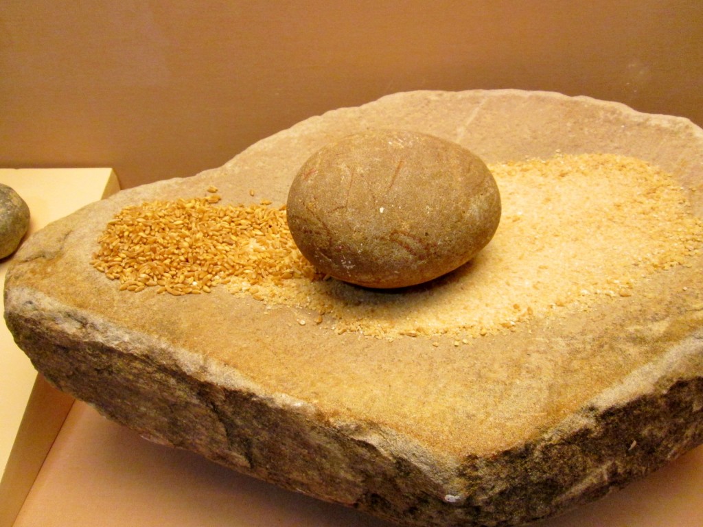 Foto: Museo de la ciudad - Medina Sidonia (Cádiz), España