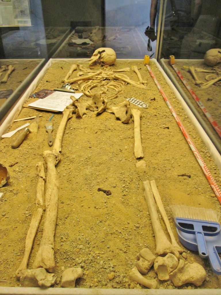 Foto: Museo de la ciudad - Medina Sidonia (Cádiz), España