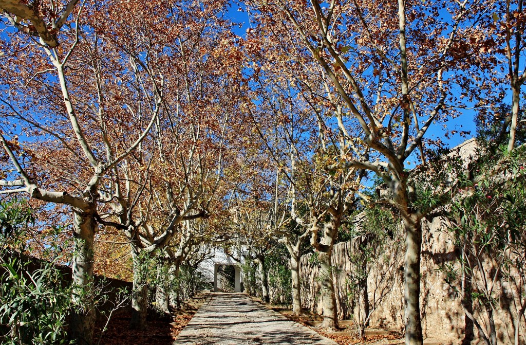 Foto: Monasterio de Sant Jeroni de Cotalba - Alfauir (València), España