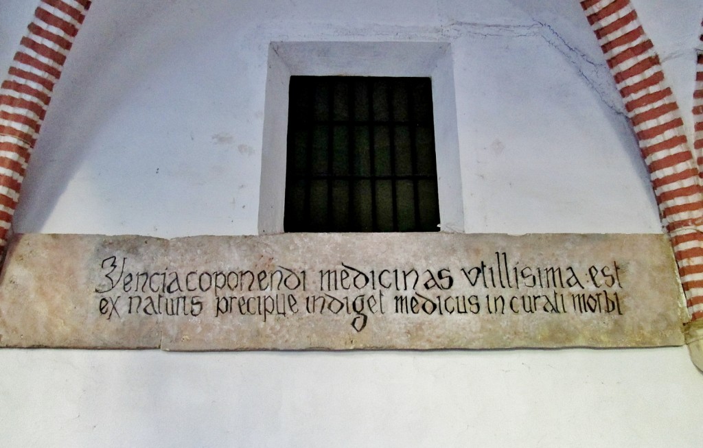 Foto: Monasterio de Sant Jeroni de Cotalba - Alfauir (València), España