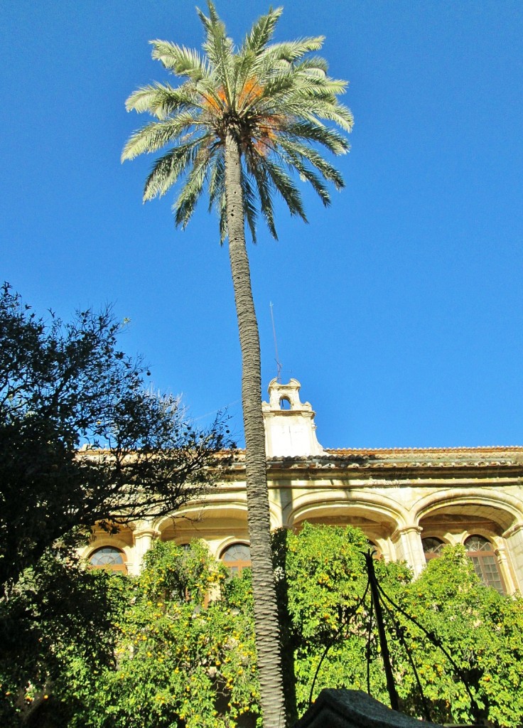Foto: Monasterio de Sant Jeroni de Cotalba - Alfauir (València), España