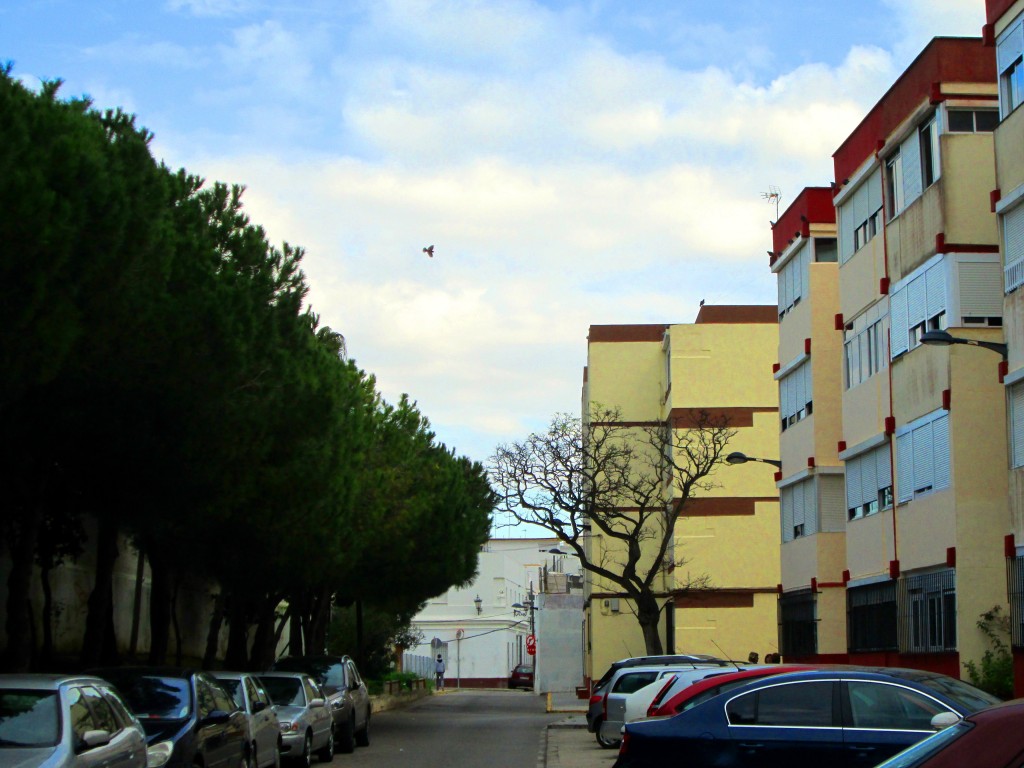 Foto: Calle Tercio del Mar Océano - San Fernando (Cádiz), España