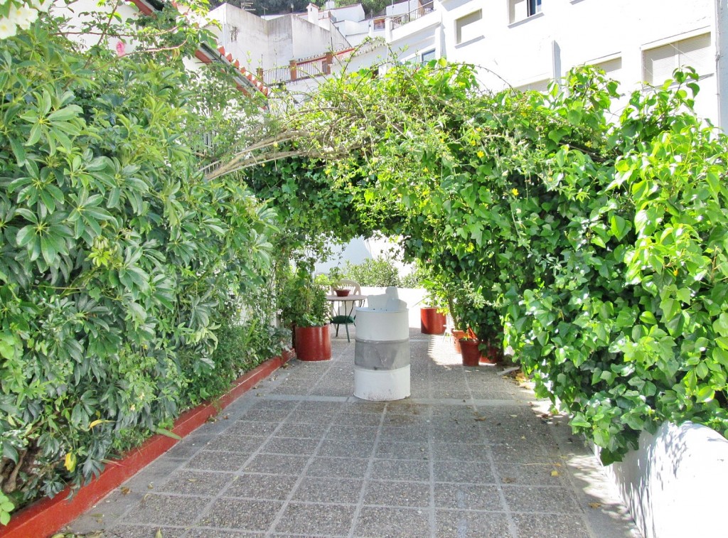 Foto: Centro histórico - Setenil de las Bodegas (Cádiz), España