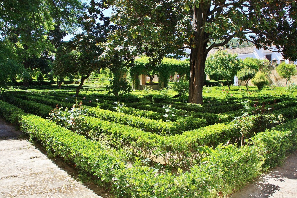 Foto: Jardín del palacio de los Ribera - Bornos (Cádiz), España