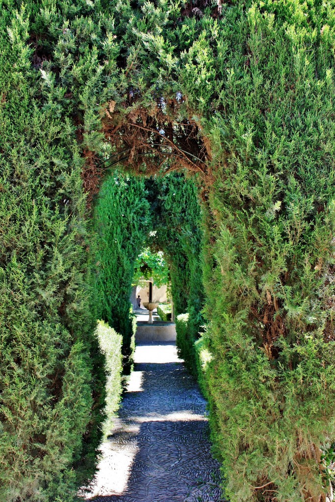 Foto: Jardín del palacio de los Ribera - Bornos (Cádiz), España